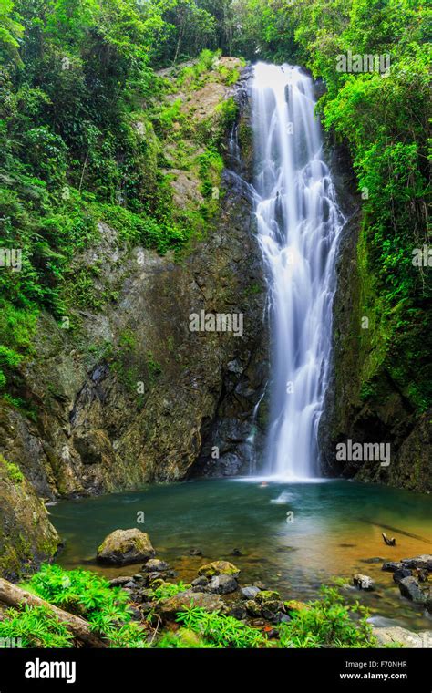 A Natural Paradise: Exploring the Magiic Waterfall Fijo